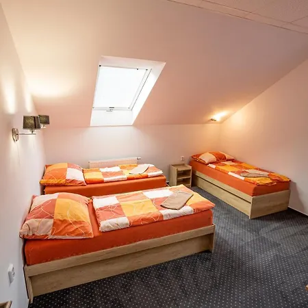 Hotel Rabbit