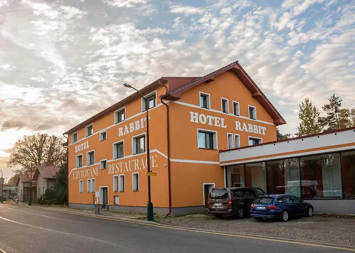 Rabbit Trhovy Stepanov