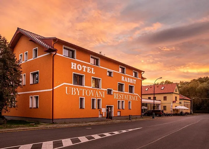 Rabbit Trhovy Stepanov